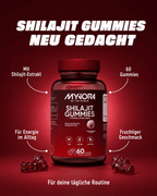 ALPHA STACK Bundle